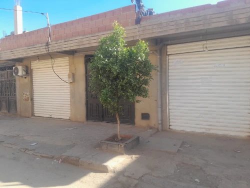 Vente Villa Aïn Defla El amra