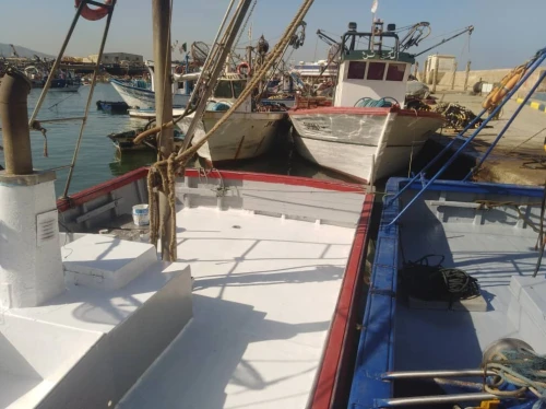 sardinier en activité a vendre
