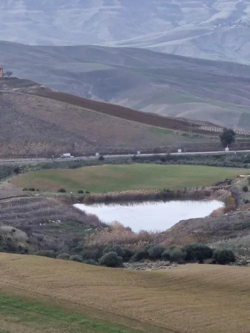 Vente Terrain Agricole Médéa Medea