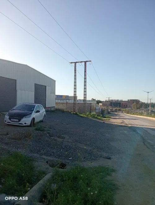 Location Hangar - Usine Boumerdès Ouled moussa