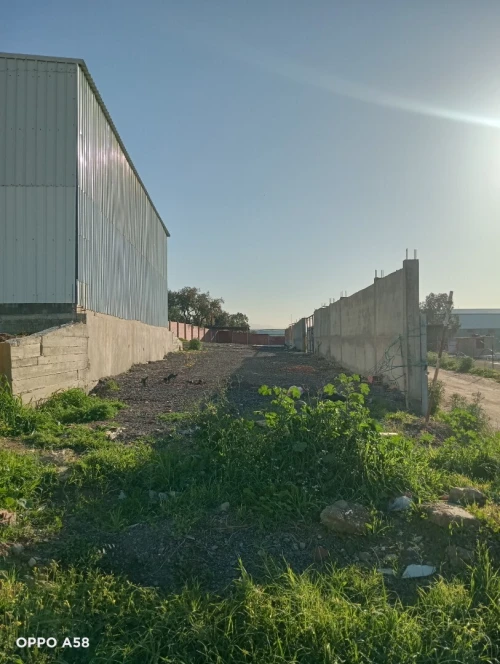 Location Hangar - Usine Boumerdès Ouled moussa