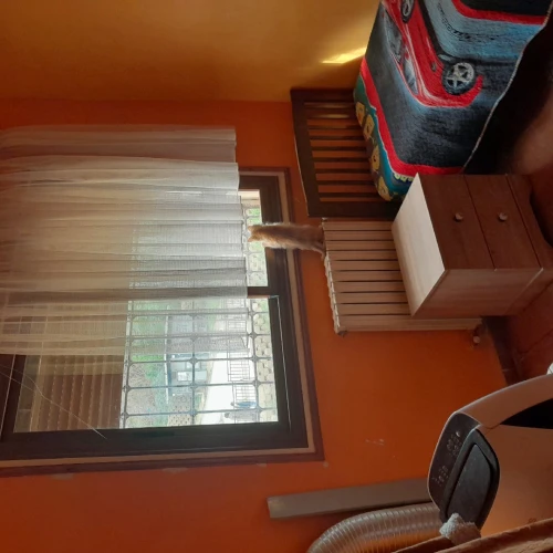 Vente Appartement Niveau de villa F7 Alger Saoula