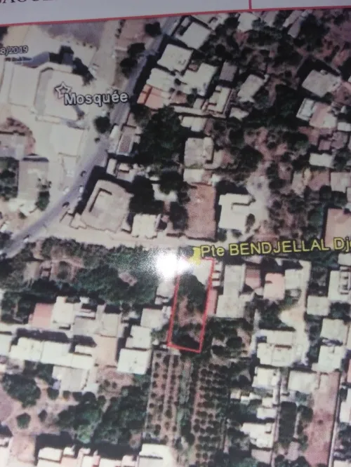Vente Terrain Alger Saoula