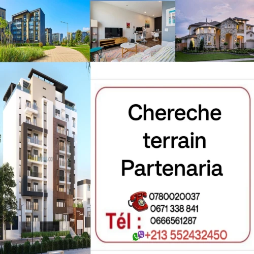Cherche achat Terrain Tipaza Hadjout