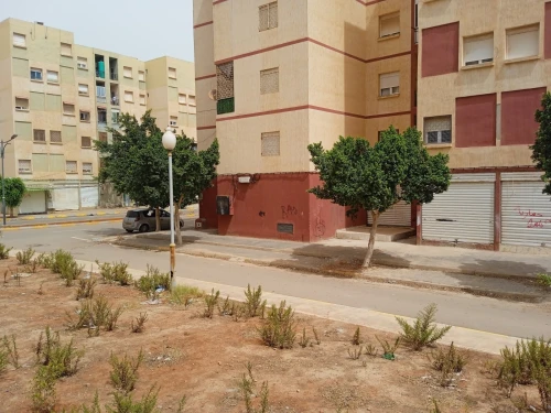 Location Local Oran Oran