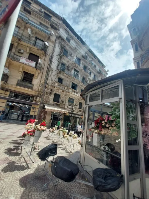 Vente Appartement F3 Alger Alger centre