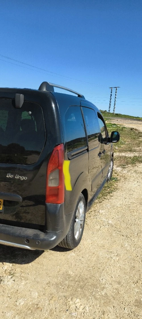 Peugeot Partner 2010 Tepee