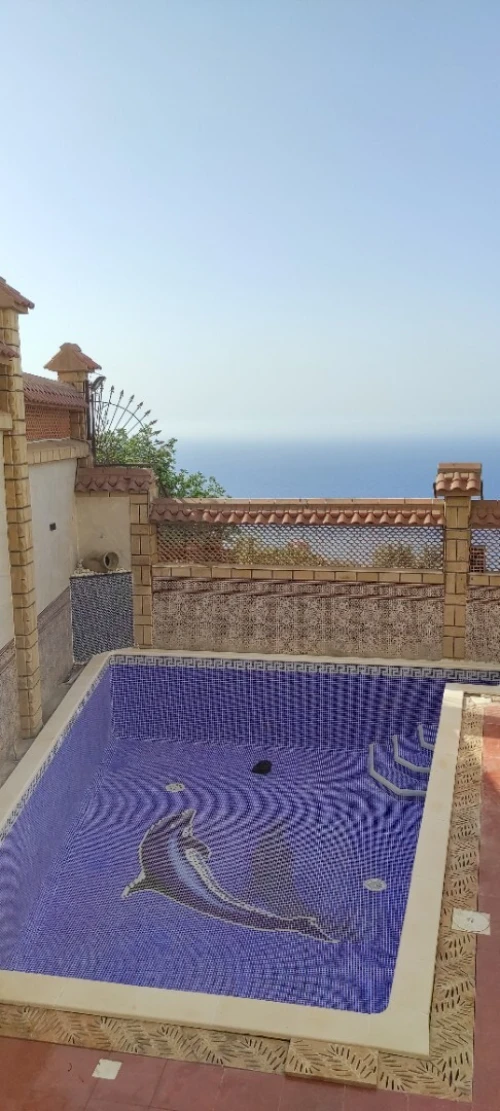 Construction et réalisation de piscine 