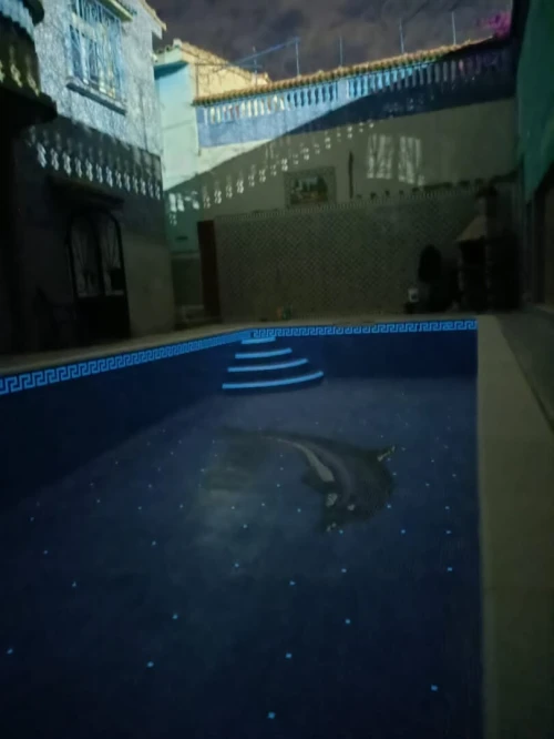 Construction et réalisation de piscine 