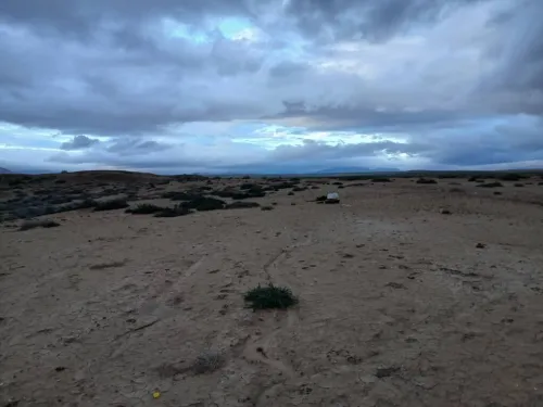 Vente Terrain Agricole Bouira Hadjera zerga