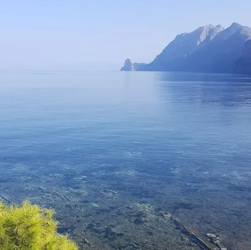 Vente Terrain Béjaïa Bejaia