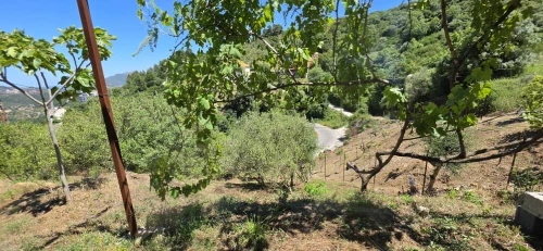 Vente Terrain Béjaïa Bejaia