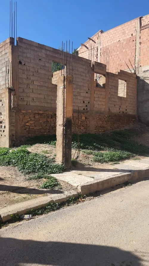 Vente Terrain Tissemsilt Ammari