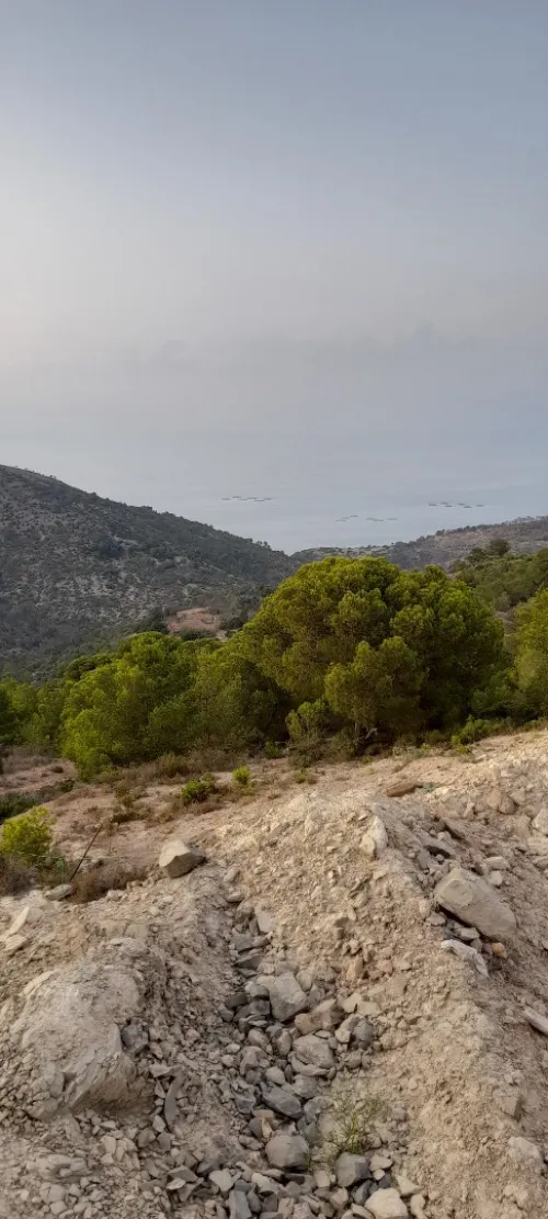 Vente Terrain Tlemcen Honaine