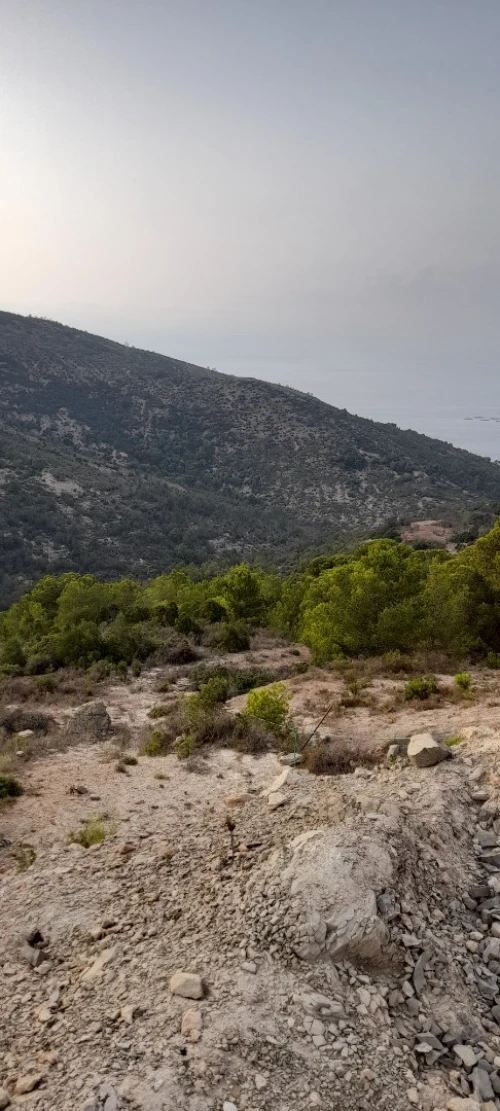 Vente Terrain Tlemcen Honaine