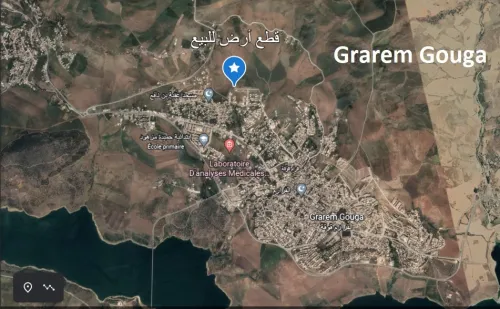 Vente Terrain Mila Grarem gouga