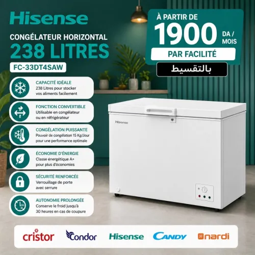 Congélateur Horizontal HISENSE Convertible Blanc 238L