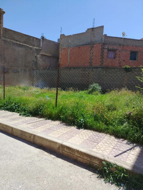 Vente Terrain Tlemcen Mansourah