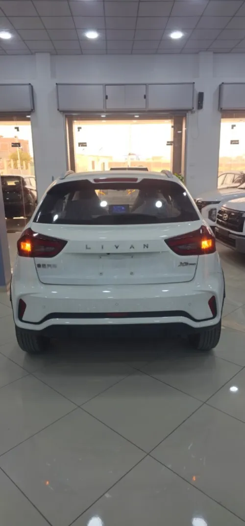 Lifan Gex3 2025 Bro3