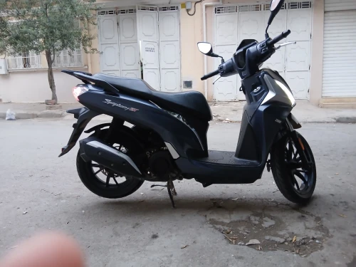 Sym st Blu glwaz 2024