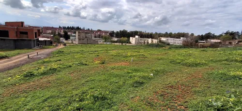 Vente Terrain Tipaza Kolea