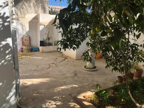 Vente Villa Alger Birkhadem