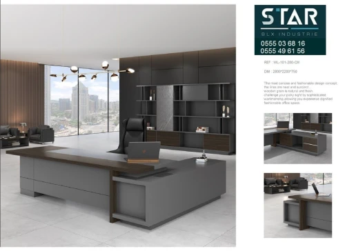 BUREAU DIRECTIONNEL LIMITED