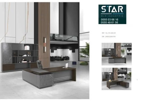 BUREAU DIRECTIONNEL LIMITED