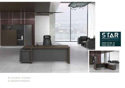 BUREAU DIRECTIONNEL LIMITED