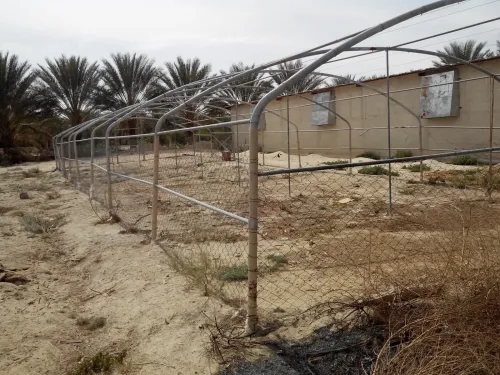 Vente Terrain Agricole Biskra Lichana