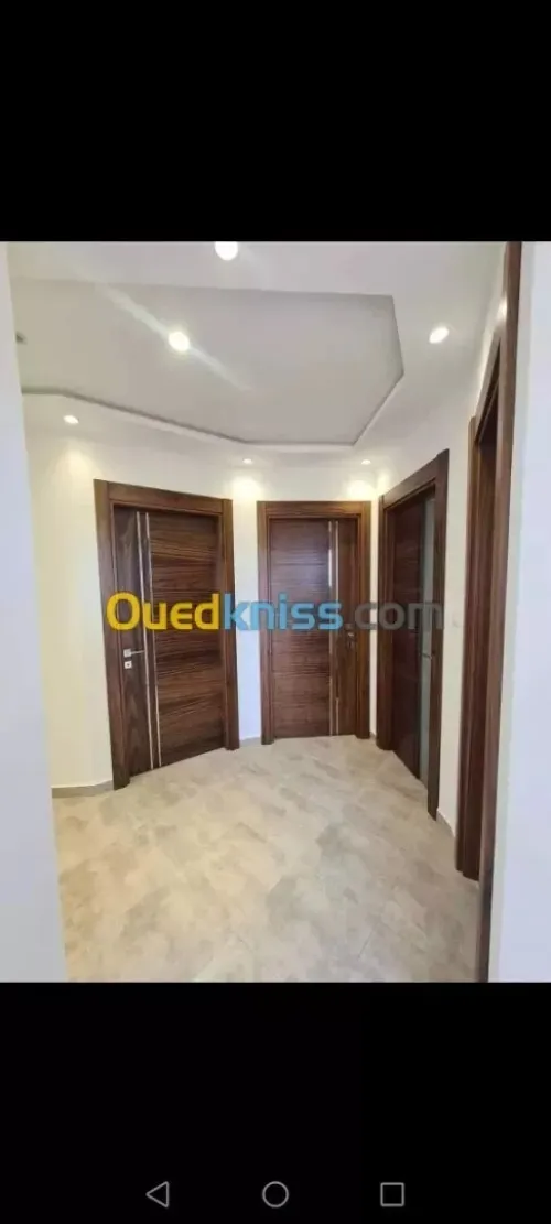 Peintre professionnel 