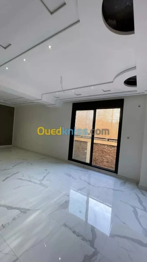 Peintre professionnel 