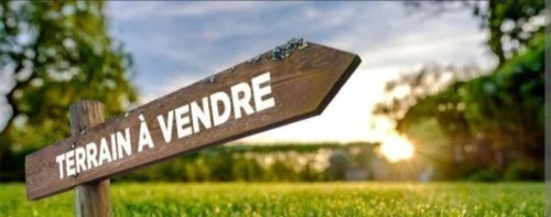 Vente Terrain Alger Cheraga