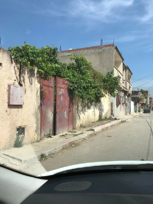 Vente Terrain Blida Ben khellil