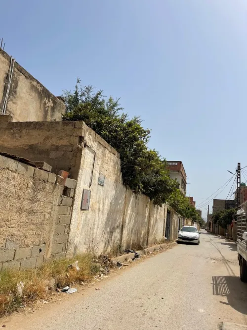 Vente Terrain Blida Ouled selama