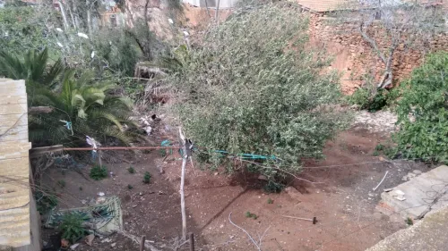 Vente Villa Aïn Témouchent Terga
