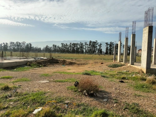 Vente Terrain Blida Boufarik