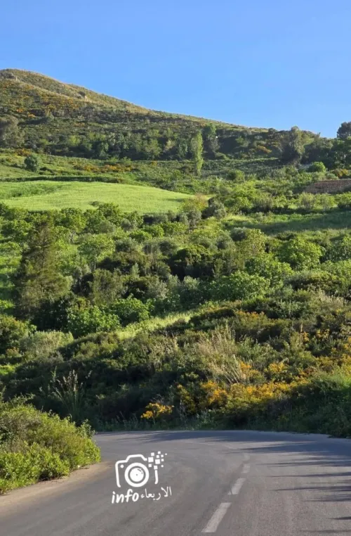 Vente Terrain Blida Djebara
