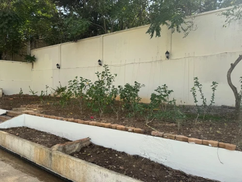 Location Villa Alger El biar