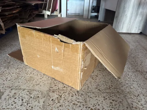 Carton 