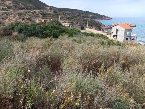 Vente Terrain Tizi Ouzou Azeffoun