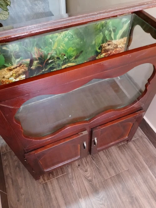Aquarium bois rouge classique