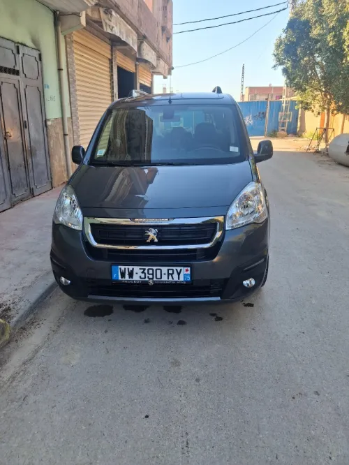 Peugeot Partner 2017 Tepee Outdoor