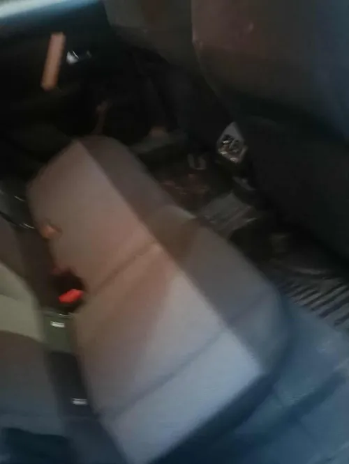 Citroen C4 2024 Live