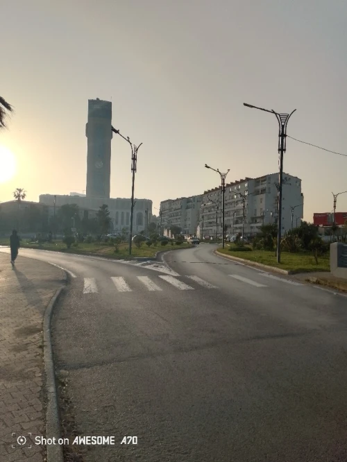Location Local Alger Dely brahim