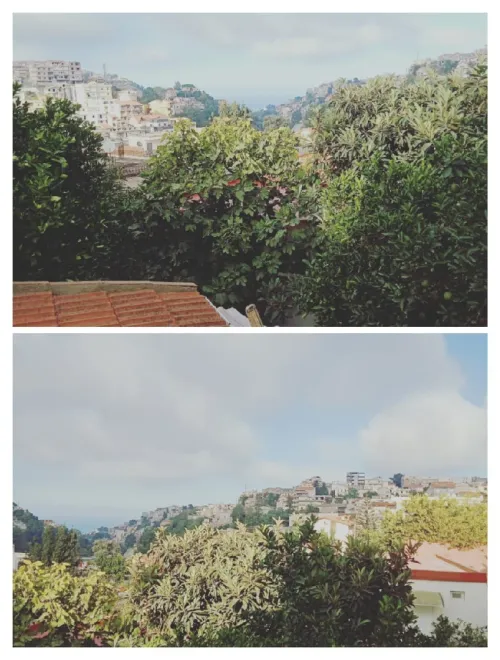 Vente Villa Alger El biar