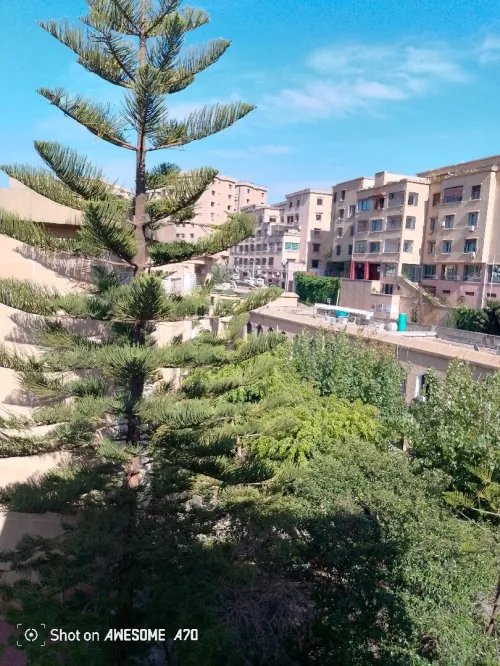 Location Appartement Duplex F10+ Alger Hydra