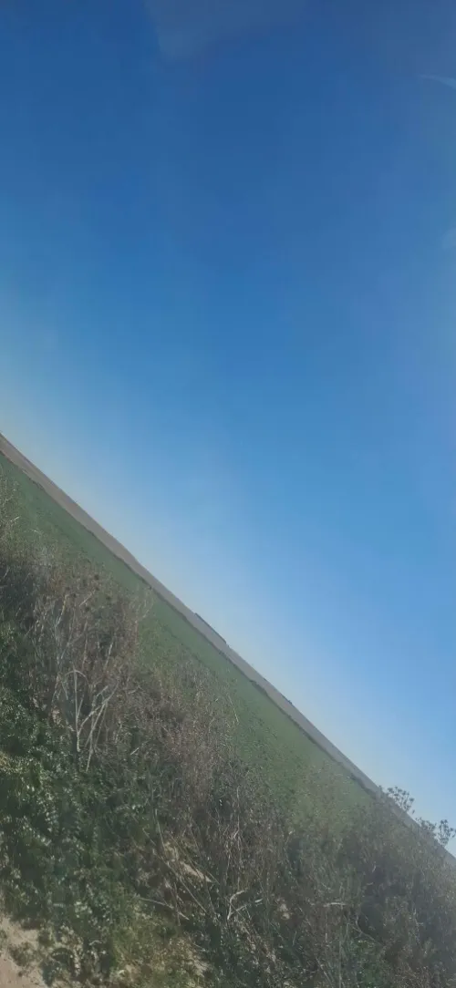 Vente Terrain Agricole Tlemcen El aricha