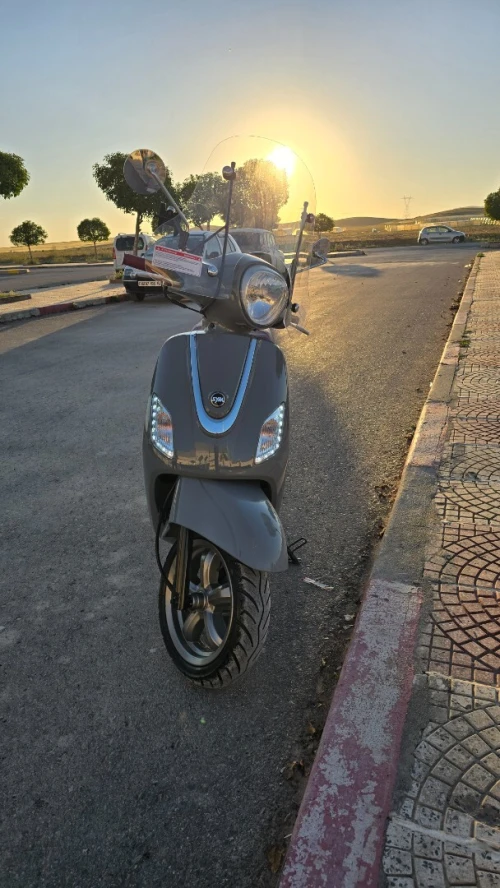sym fiddle 3 2024