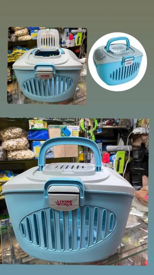 Accessoires pour chats 
